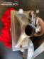 Micronizing mill with fixed stainless steel blades