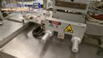 Sarong SAAS model blister forming and sealing machine for suppositories.