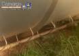 Helical chiller for cooling chickens Marel
