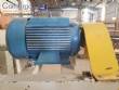 Stainless steel hammer mill 30 hp Tigre