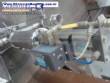 Packing machine for chickens Linco