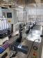 Bottling line for grains and chestnuts