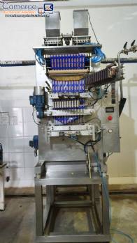 Sachet filling machine with 12 ways