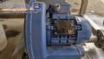 Incalfer double stage continuous stainless steel vegetable washer