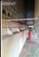Grain drying tower dryer seeds agricultural products corn Kepler Weber