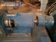 Worm pump Netzsch