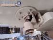 200 liter stainless steel jacketed paddle mixer