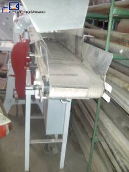 Conveyor with vibrated