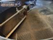 Stainless Steel Peanut Dryer