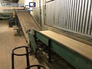 Onion cleaner and sorter Barana