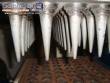 Manufacturer of ice cream cones for 60-cavity cone-shaped desserts.