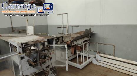 Vertical Fabrima Flexibag package with 14 heads composed of platform