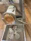 La Monferrina P6 short and long pasta extruder